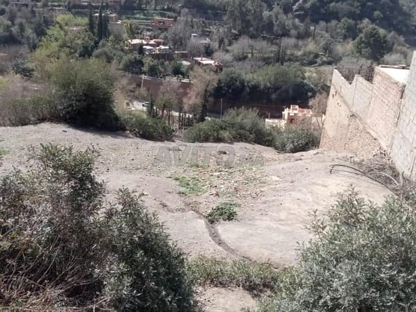 Terrain constructible 535 m² ourika Marrakech