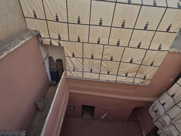 رياض في قلب المدينة القديمة