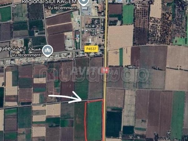 🌿 À VENDRE – Terrain agricole à Sidi Kacem