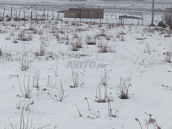 Terrain titré 2900 m2 Dait Aoua Ifrane