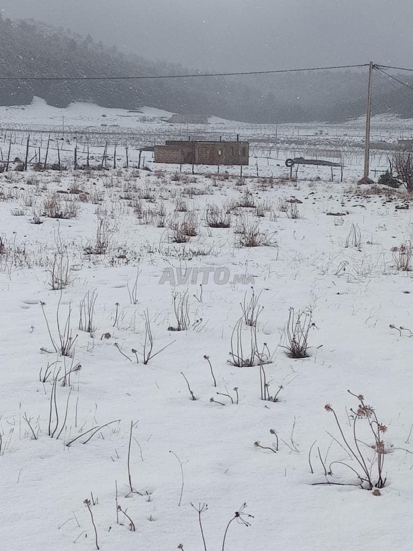أرض ملك 2900 م2 بـ Dait Aoua Ifrane