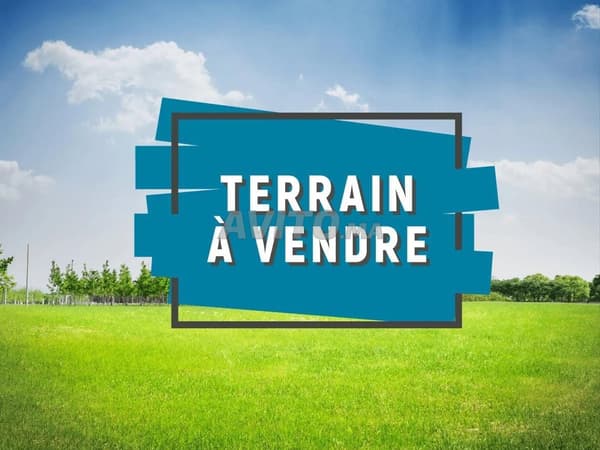 Terrain près de Souk Lekhmiss