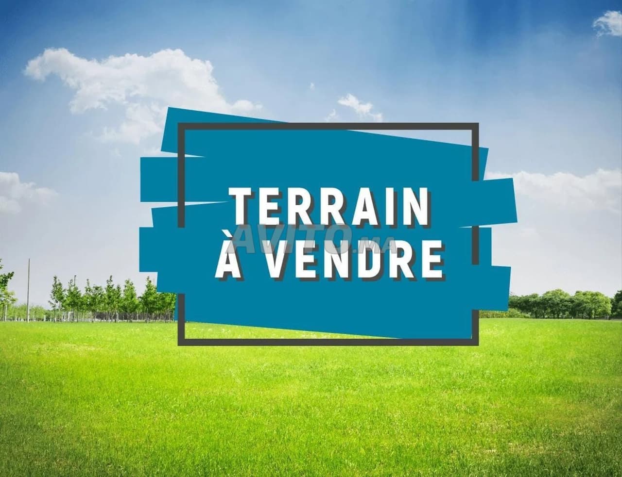 Terrain près de Souk Lekhmiss
