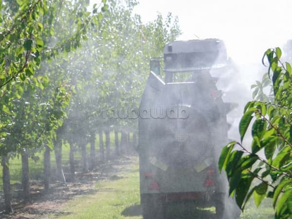 Petite ferme 2 hectares sur route grande façades haj kaddour oliviers amandes