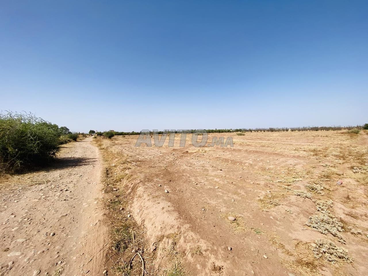 Terrain à vendre avec une superficie de 10000 m.