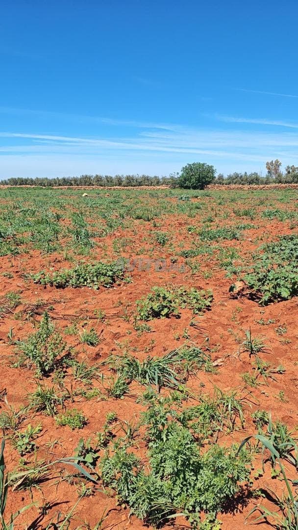 Terreno con título a la venta