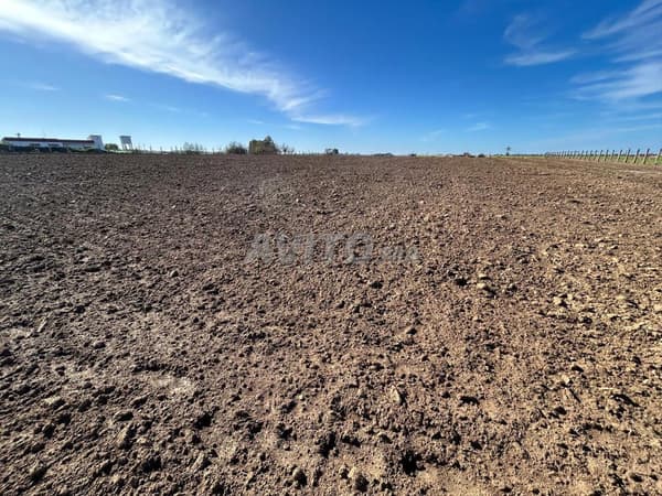 Terreno Agricolo a Benslimane