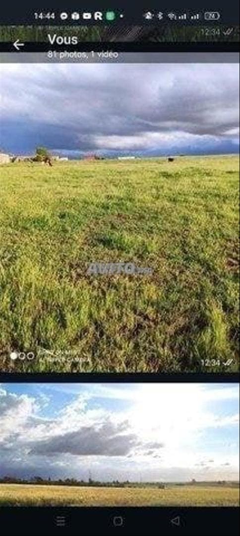 Terrain agricole enregistré d'un hectare avec puits