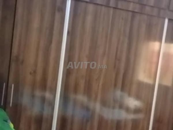 Apartment for sale at Immeuble Ennahy, ground floor and fully renovated