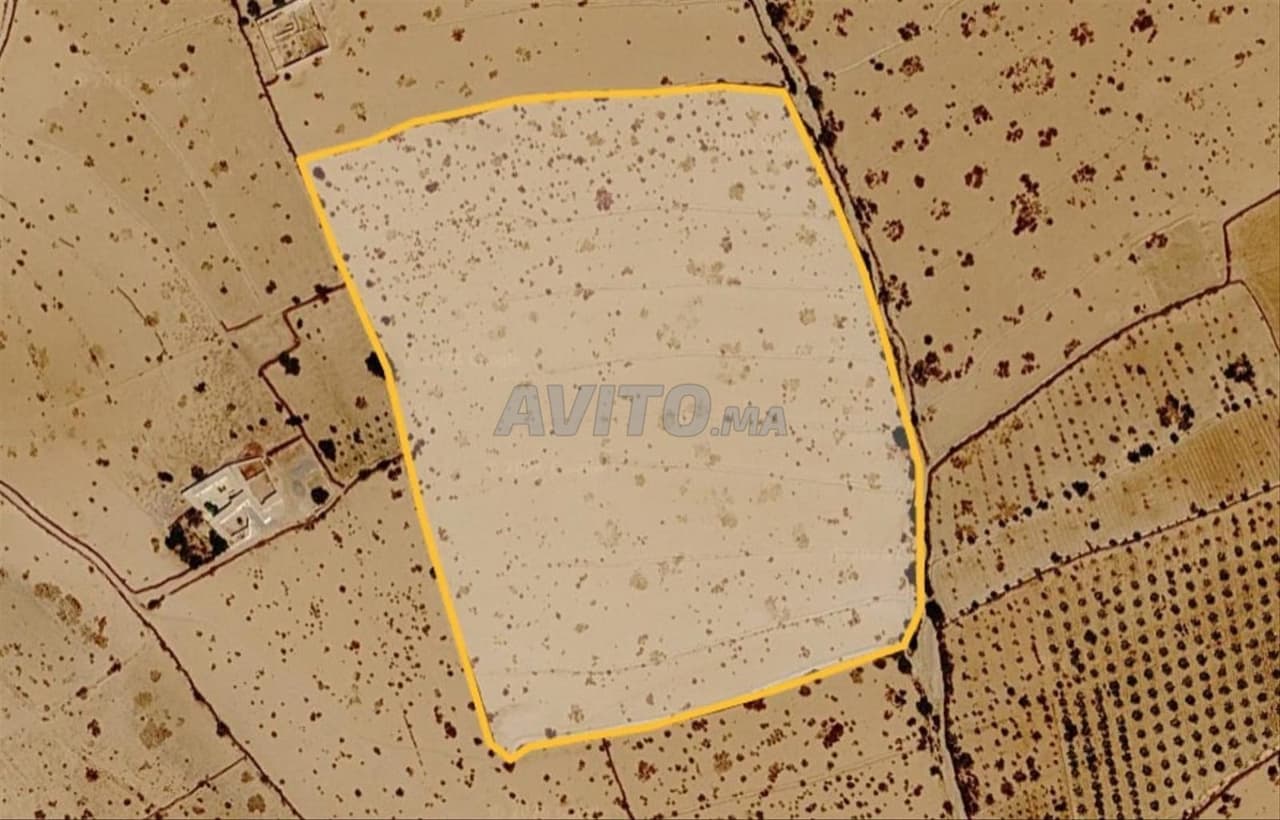 Terreno agrícola en venta