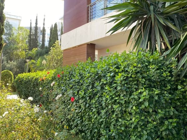 Rez de jardin en location à Riyad. 3 pièces. Ascenseur et terrasse