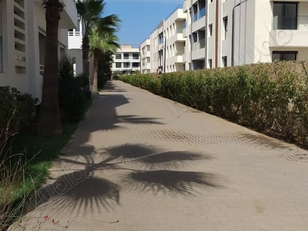 Superb spacious and bright apartment for rent