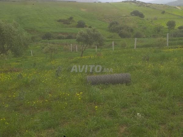 Kadastraal perceel te koop in Bouznal, Tétouan