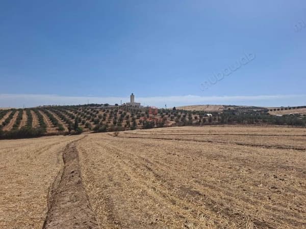 Farm Sale at Khemisset