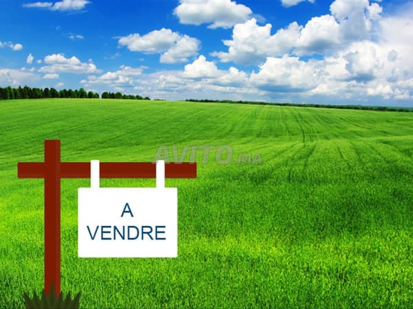 EN VENTA TERRENO EXCEPCIONAL DE 2600m² LOTE MARIE-LOUISE