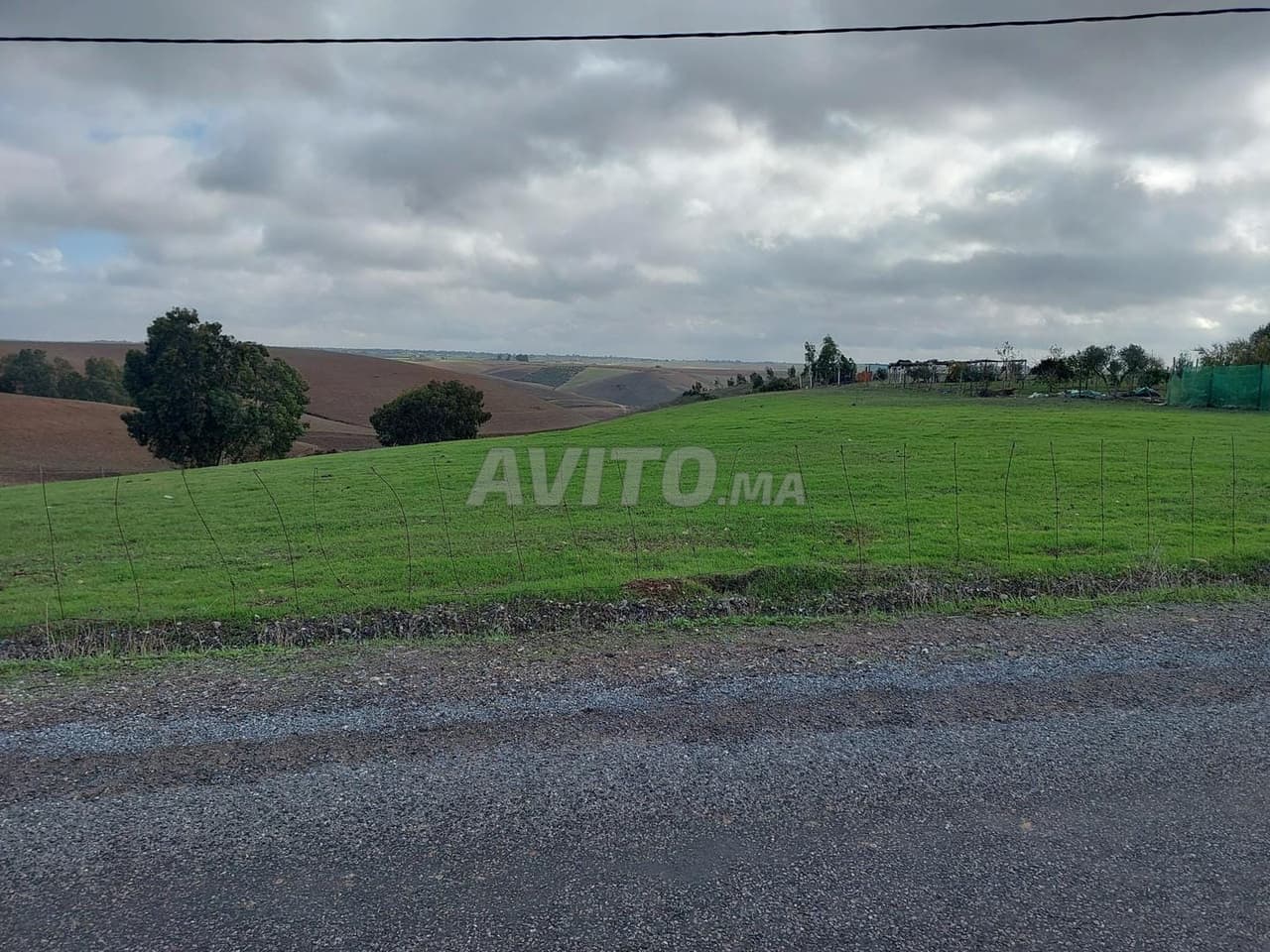 Terrain titre 14000m2 kamouni