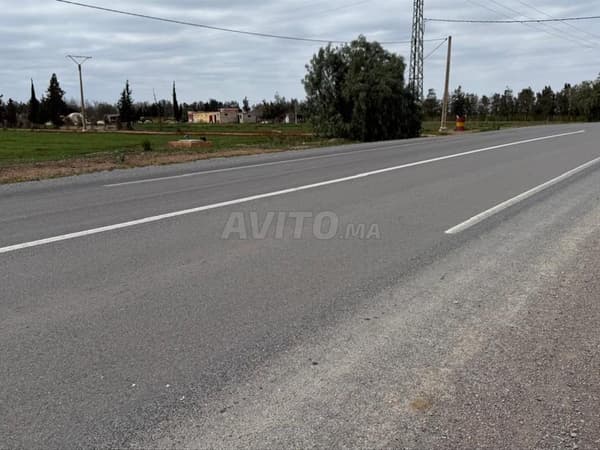 3,72 ha titré sur la route à Benslimane