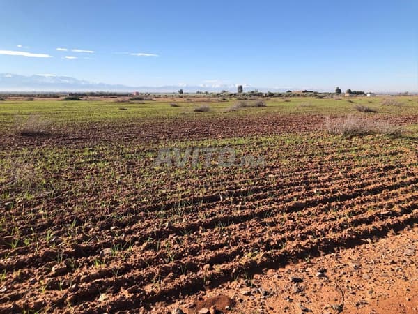 💎 Terrain Prestige 4,28 HA – Vue sur l’Atlas