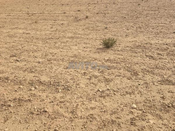Terrain agricole Titer, environs de Marrakech, superficie 2 hectares