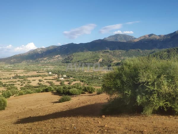 Terreno agrícola titulado en venta