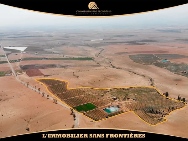 Ferme à Route Amizmiz km 54, 3 000 oliviers + 2 puits, Marrakech : à vendre