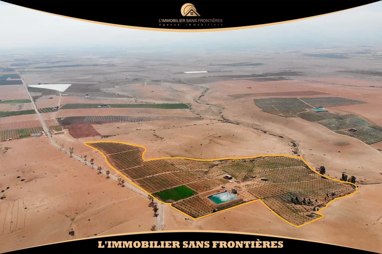 Ferme à Route Amizmiz km 54, 3 000 oliviers + 2 puits, Marrakech : à vendre