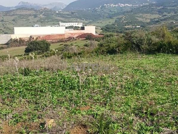 Titled land (fair price)