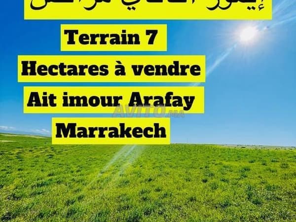 Goede deal: 7 hectare perceel met titel