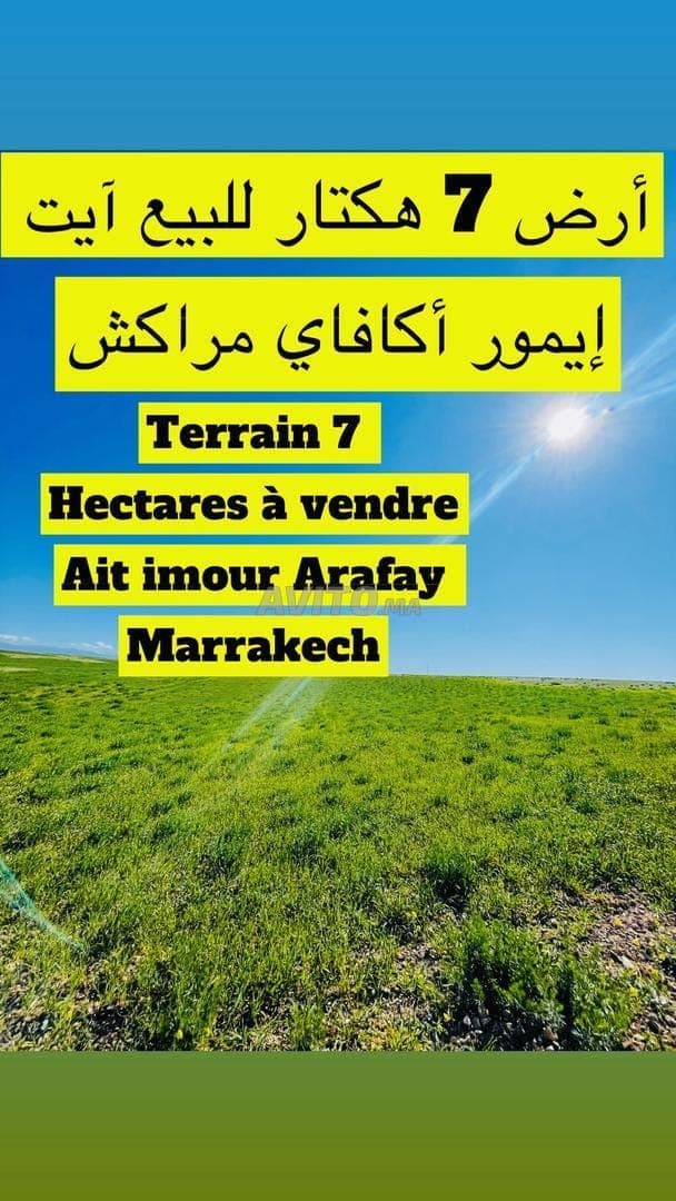 Goede deal: 7 hectare perceel met titel