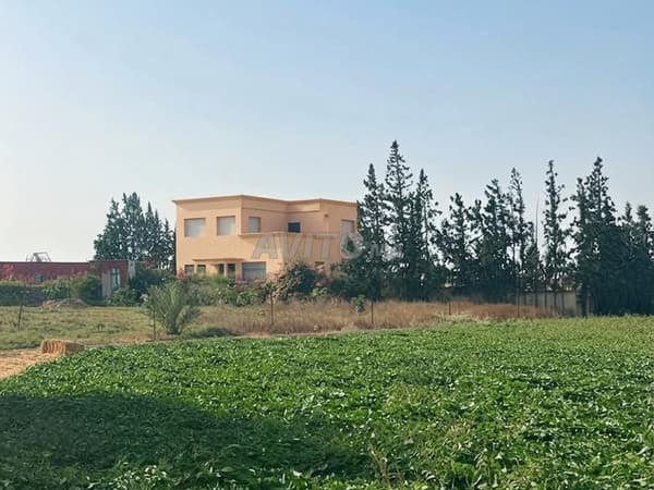 Boerderij 🏡 10 hectare geregistreerd in Oulad Said, provincie Settat
