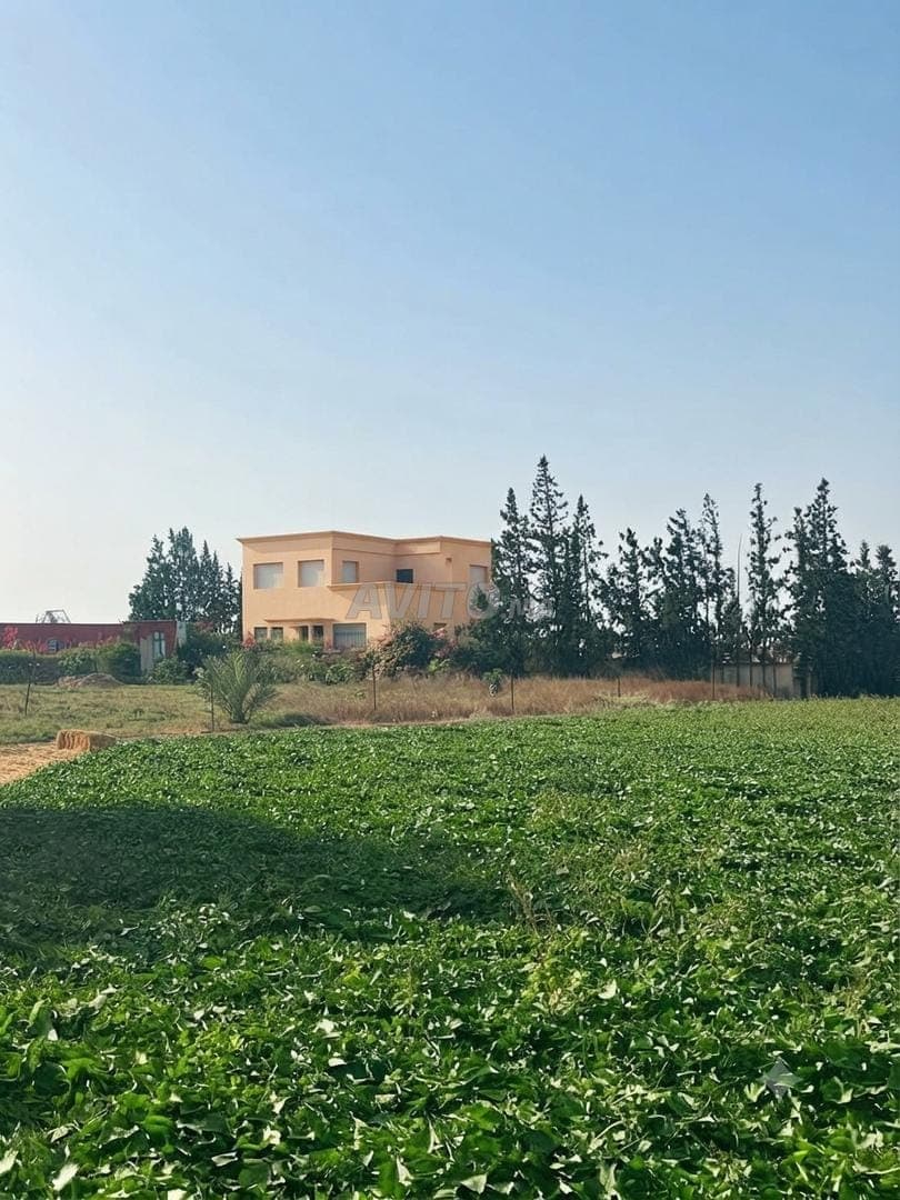 Farm 🏡 10 Hektar, eingetragen in Oulad Said, Provinz Settat