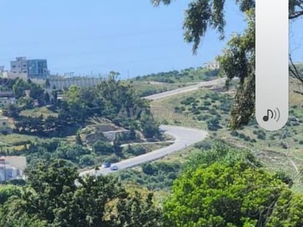 terrain 1000 m2 titre vu la mer hasana wadalyan