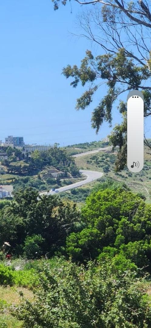 terrain 1000 m2 titre vu la mer hasana wadalyan