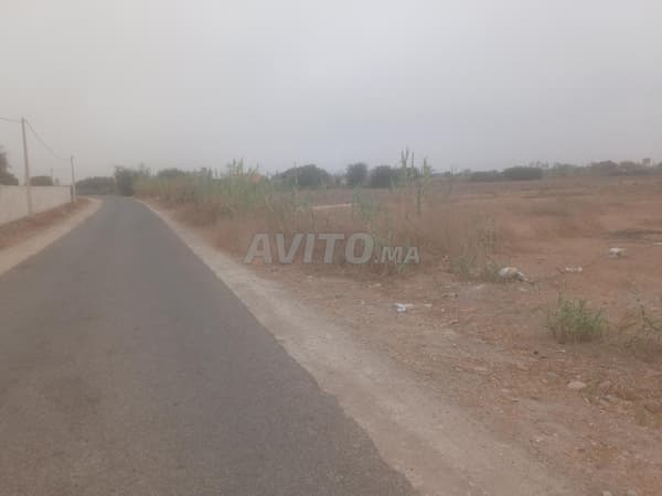 Ouled Teïma