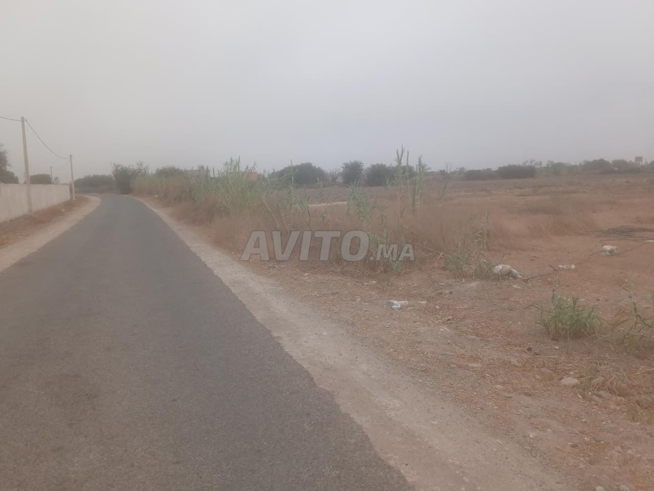 Ouled Teïma