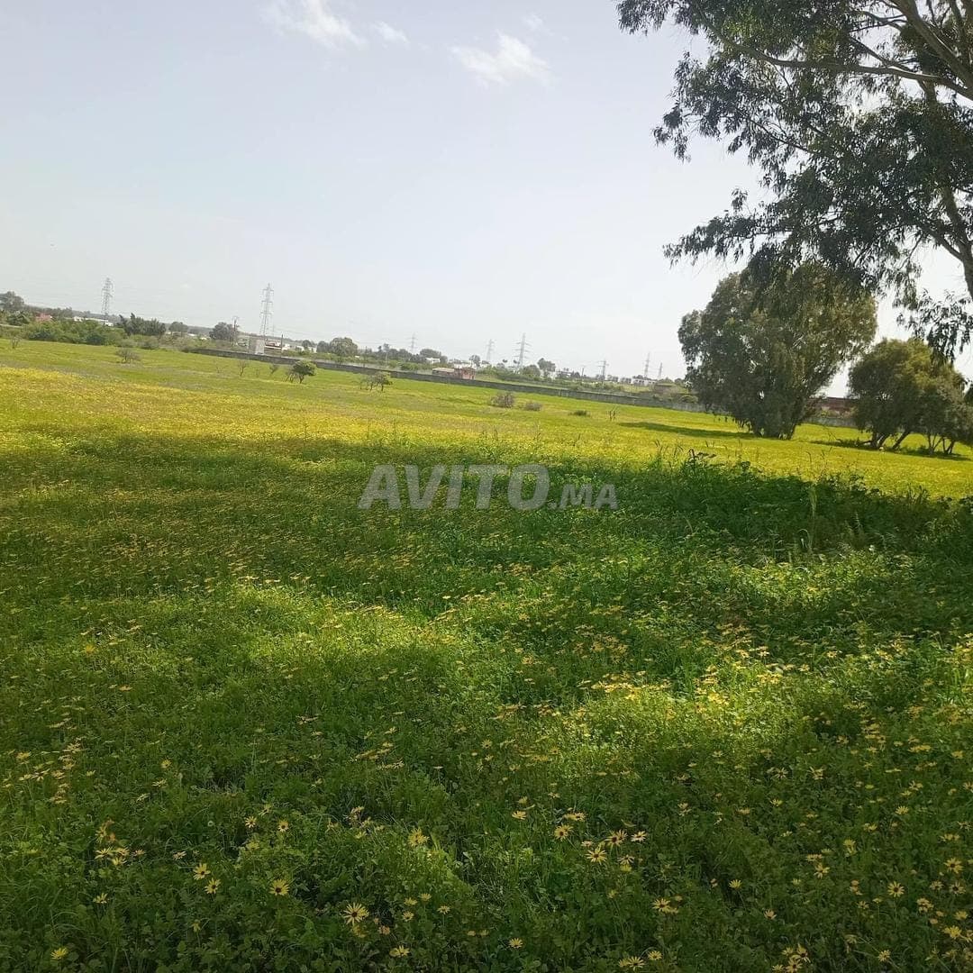 Land for sale