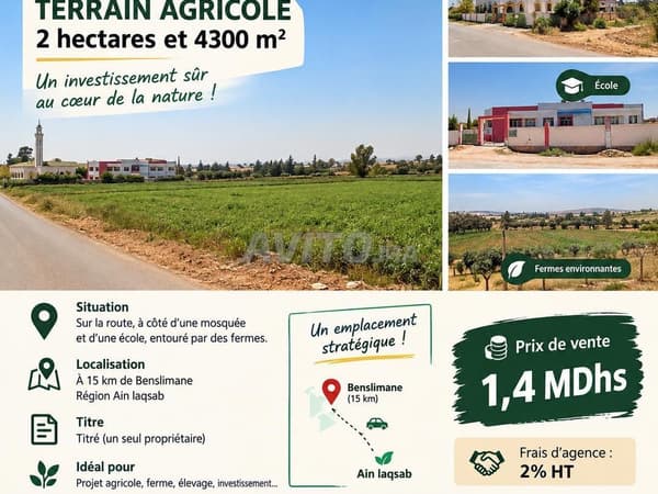 À VENDRE – TERRAIN AGRICOLE TITRÉ - BENSLIMANE