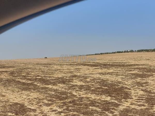 terrain agricole 15 hectares à ain sbit rommani