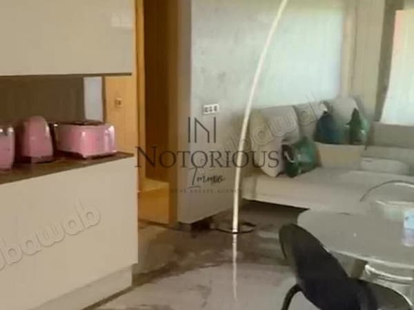 شقة للكراء