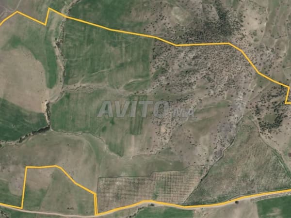 Domaine Agricole 85 Ha Titrés - Région Irfane