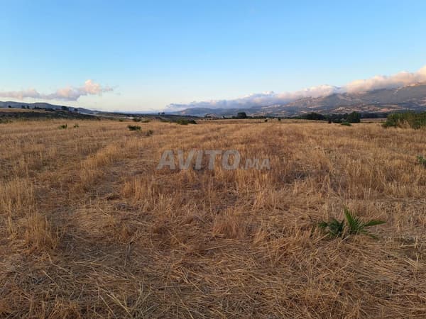 Opportunity... Titled Land for Sale in Tétouan