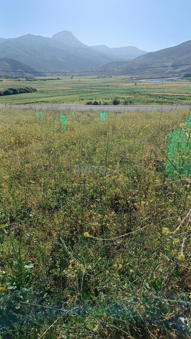 Terrain à vendre de 2,5 hectares
