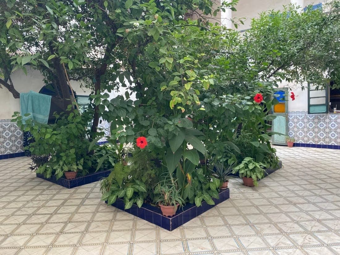 Riad de 297 m² au sol à rénover – Derb Dabachi