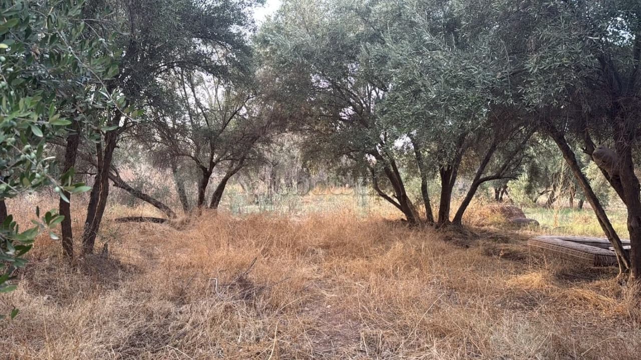 أرض بمساحة هكتارين ونصف، طريق أوريكا