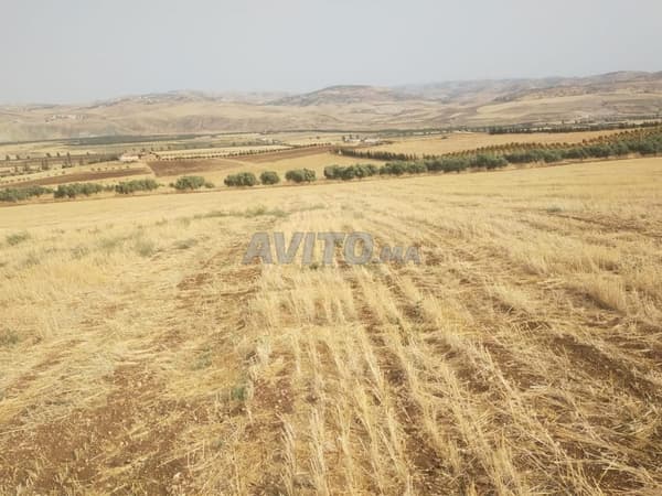 Landwirtschaftliches Grundstück, eingetragen, 16 Hektar