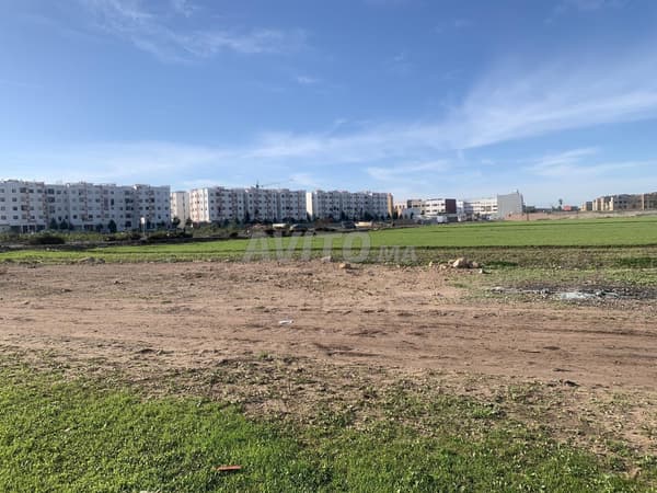 Terrain Mediouna 11 Hectares en Zone C3