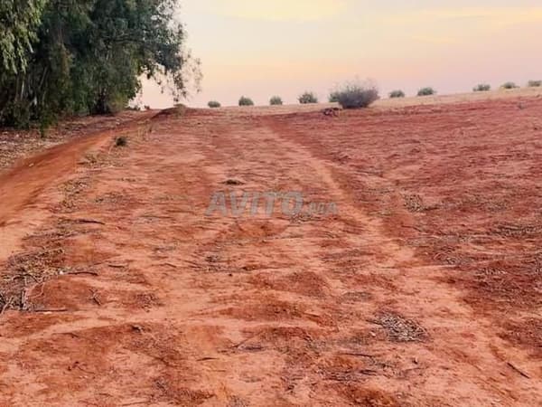 Terrain de 1000 mètres avec Aounib à 2 km de la ville de Hamza