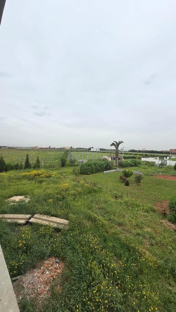 Magnificent One-Hectare Farm with Modern Villa