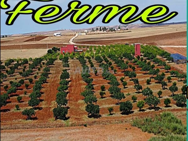 Ferme d'Investissement 26520m2 à vendre El Jadida