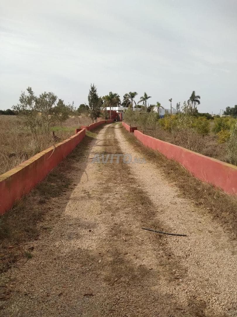 Terrain bir jdid